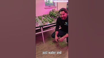 Types of Hydroponic Systems