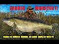 ZANDER MONSTER !!! TRAQUE DES SANDRES RECORDS AU LEURRE SOUPLE DU BORD !!!