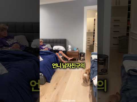 언니 남자친구 집에 갔다가 눈을 의심한 이유 🖼️ thumbnail