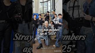 Download Lagu skz members age in \ MP3