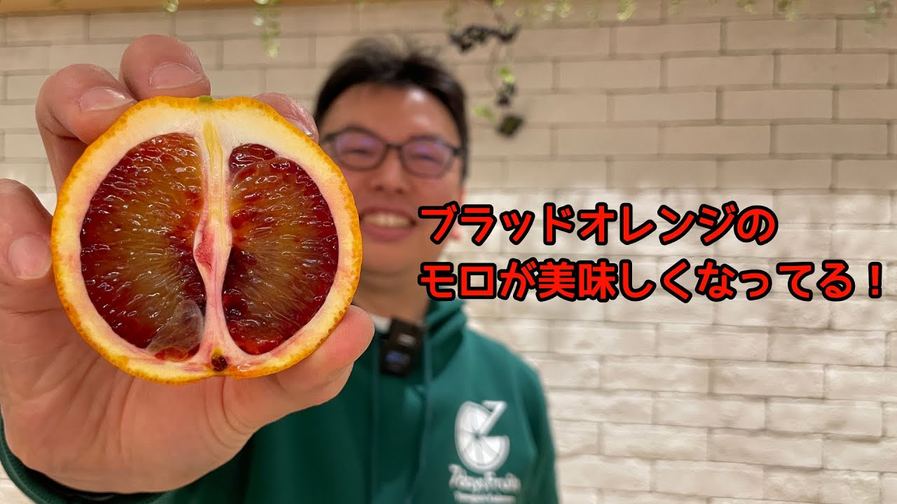 今年のモロおいしくなってない？！この価格でこの味ならお買い得