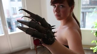 5 СЕКРЕТНЫХ ПРИЕМОВ НИНДЗЯ 5 СЕКРЕТНЫХ ПРИЕМОВ НИНДЗЯ