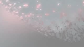 John Waller - Mary Did You Know