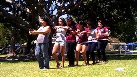 Lambda Theta Alpha ( Beta Delta) Saluting