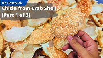 Chitin from Crab Shell (Part 1/2) | Preparation Setup