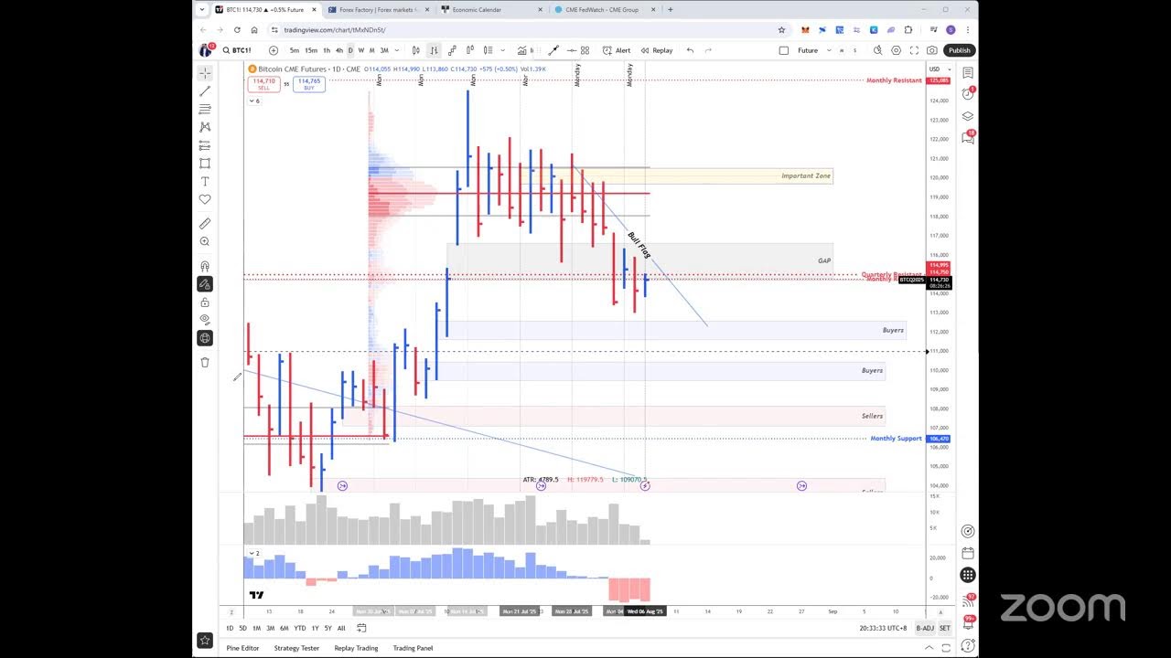 Host's Zoom Meeting (In Myanmar)