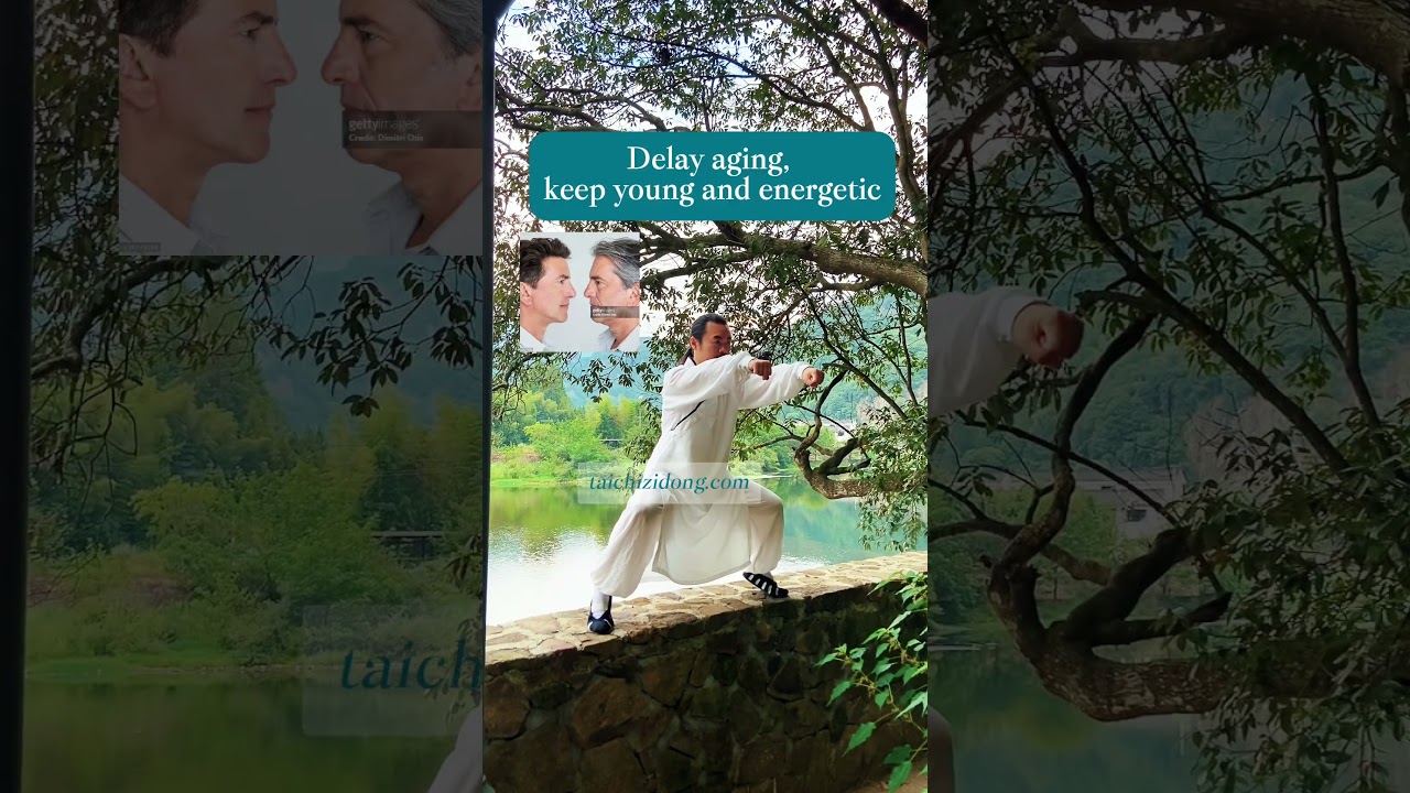 240956-Taoist Rejuvenation Exercise.