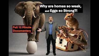 Ancient Roman Secrets Make Modern Buildings STRONGER!