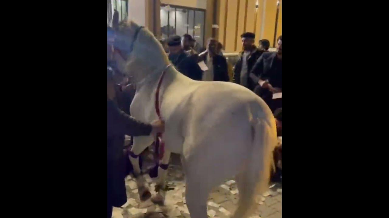 Pakistani Marriage Ceremony Typical Shadi 2024 YouTube