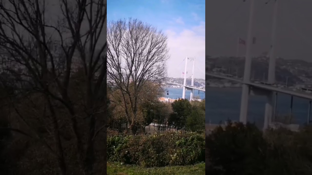 BEAUTIFUL WINTER LANDSCAPE