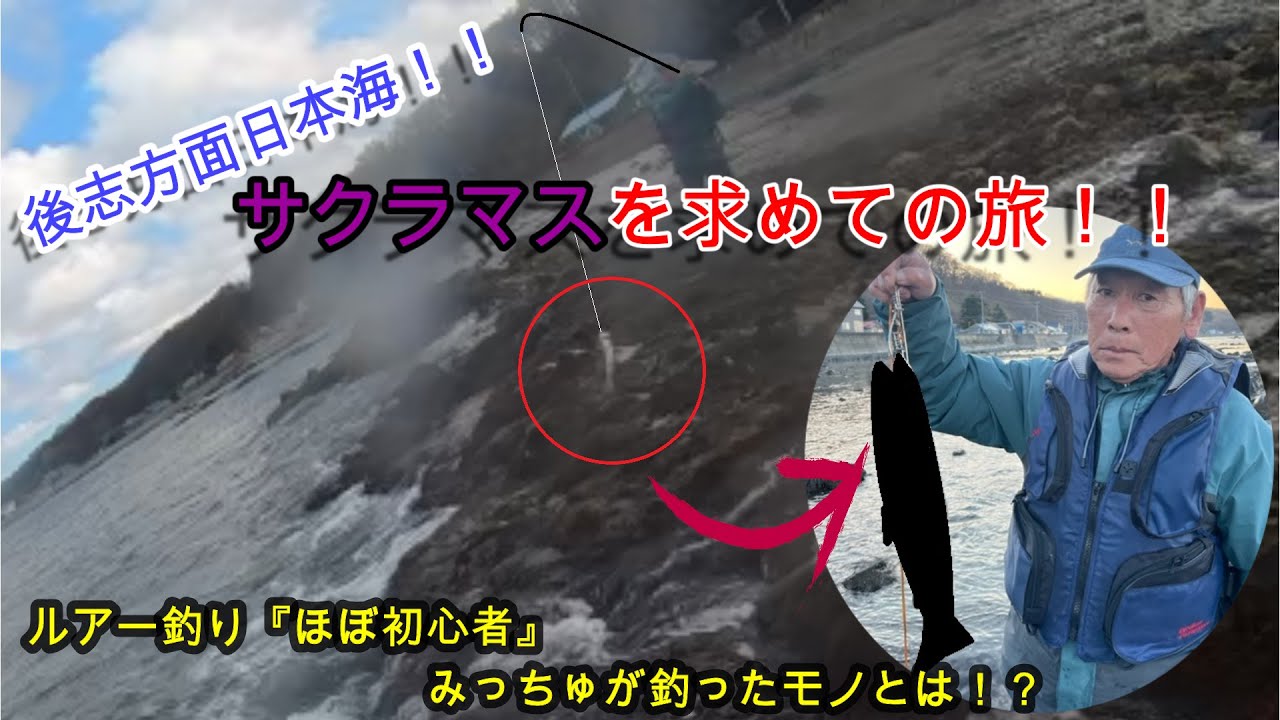 海サクラマスを求める旅 ルアー釣りほぼ初心者のみっちゅが釣ったモノとは Youtube