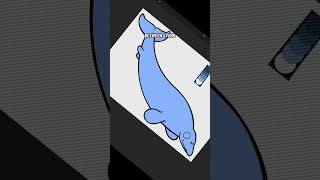 Paleo Party - Pachycetus