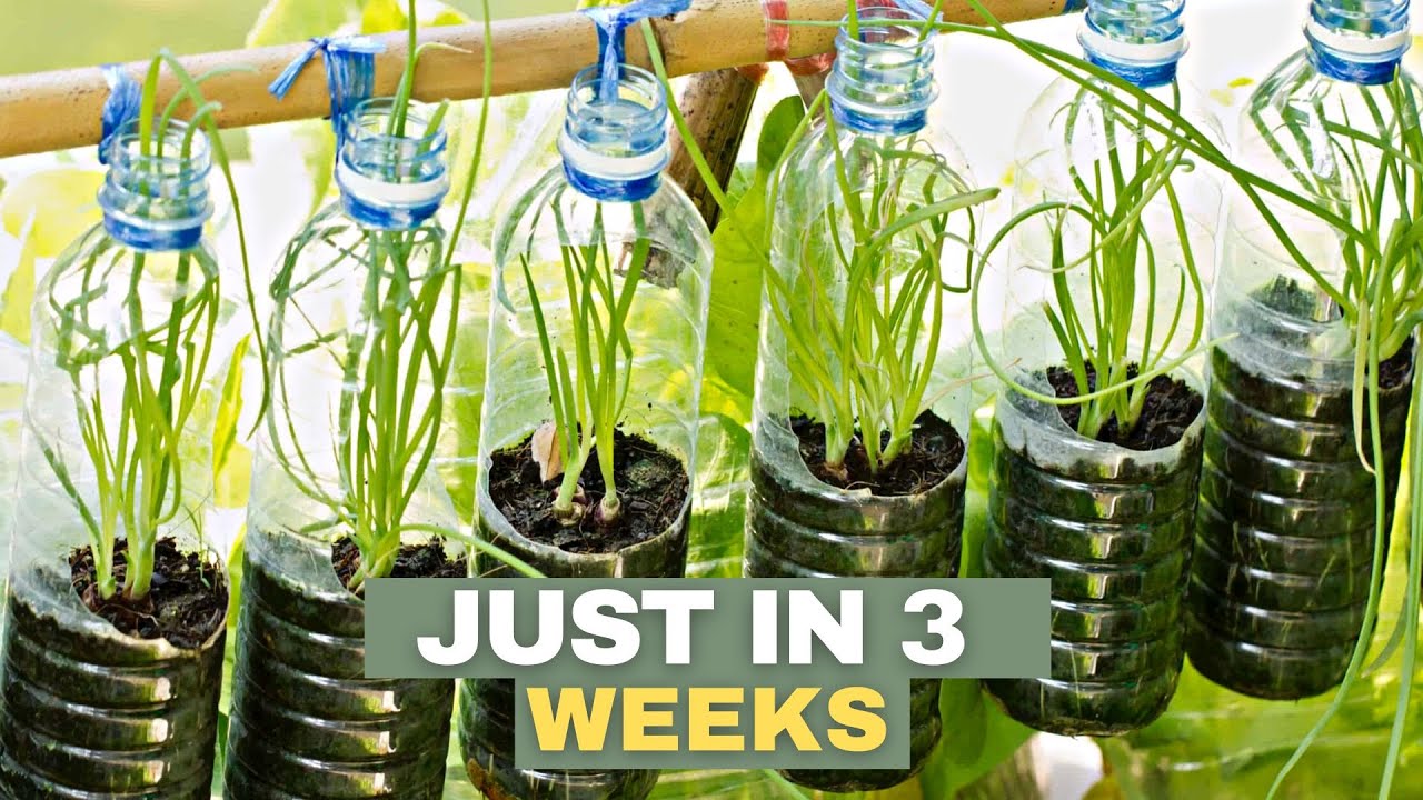 Коллаж идей использования пластиковых бутылок в саду