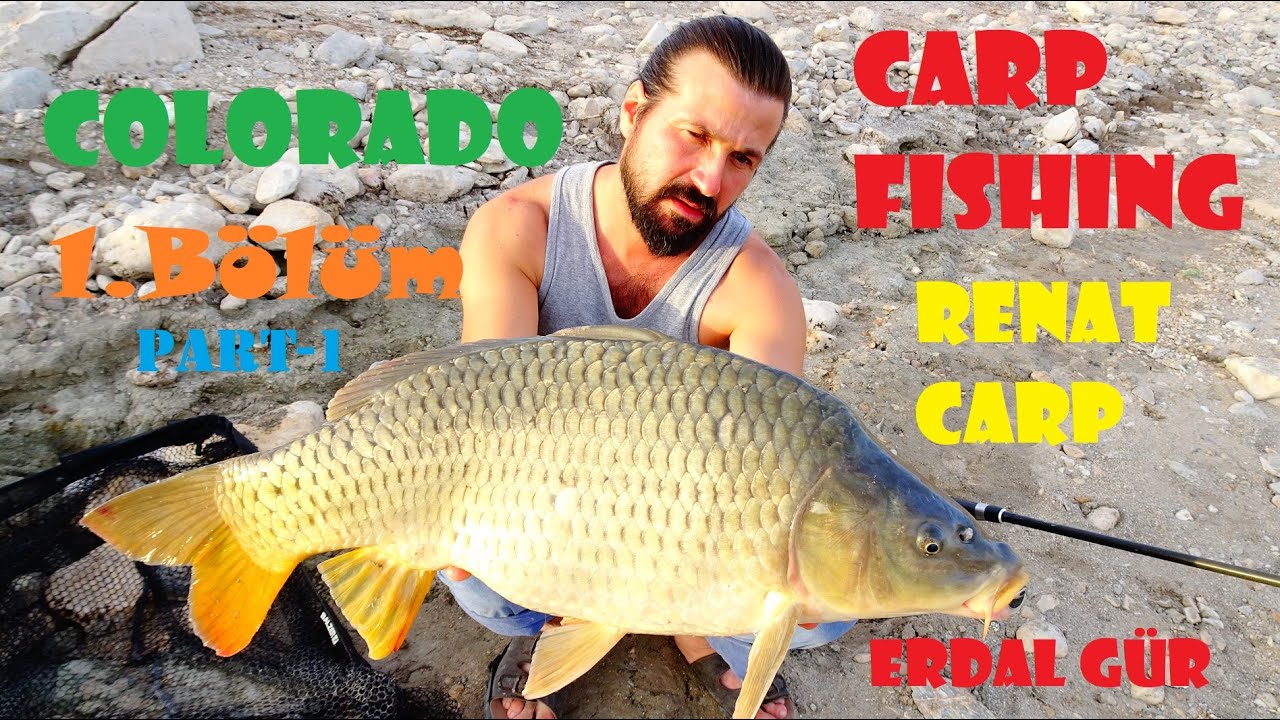 Renat Carp Rig Takımla Sazan Avı Carp Fishing  Shadow Mountain Lake, Colorado 1.Bölüm Part-1
