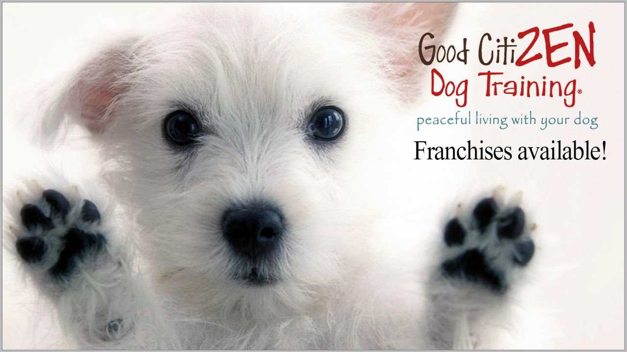 Good CitiZEN Dog Training Franchises Available YouTube