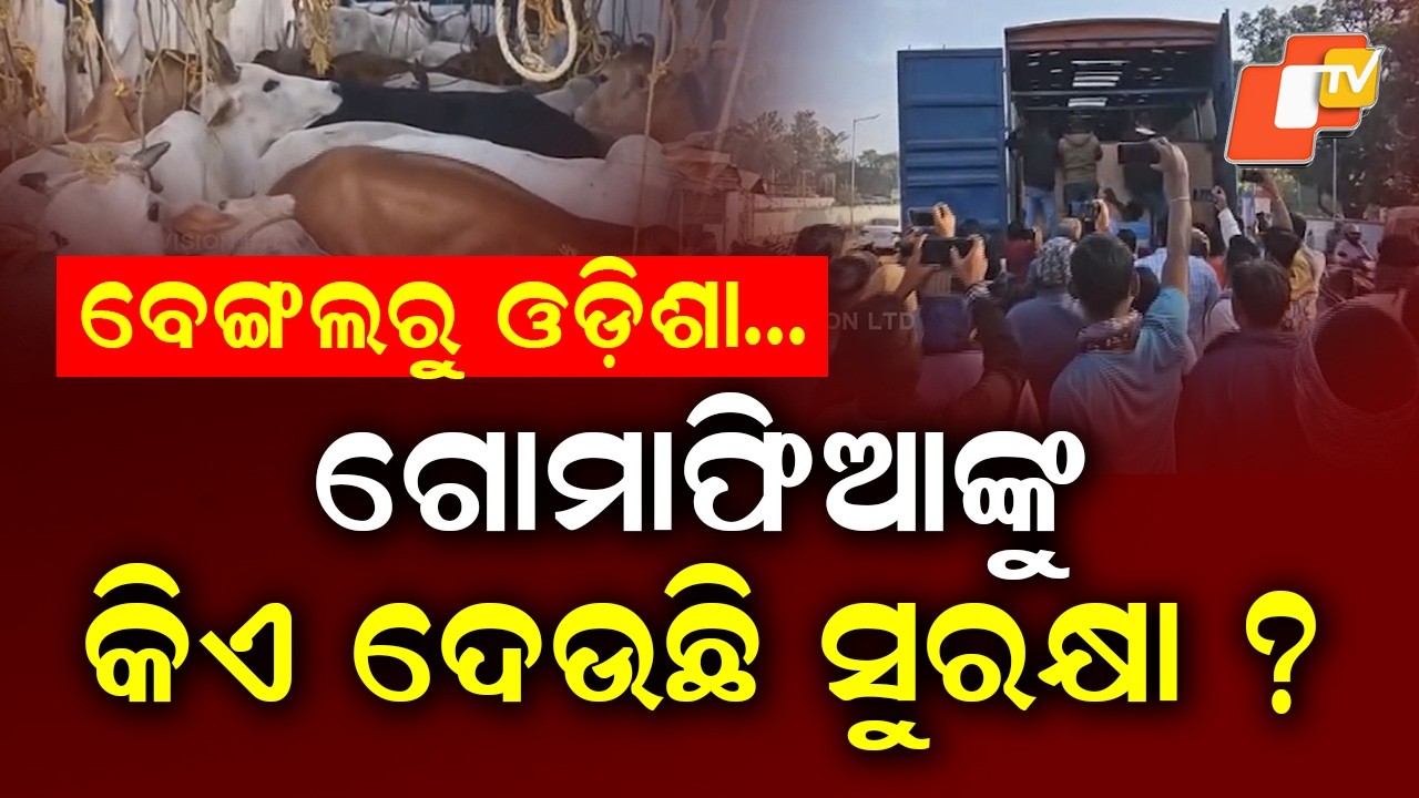 Cattle Smuggling Routes in Eastern India
