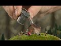 Miniature Village Faces Every Disaster Imaginable