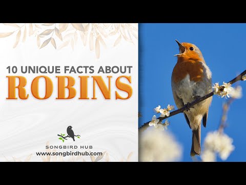 10 Unique Facts