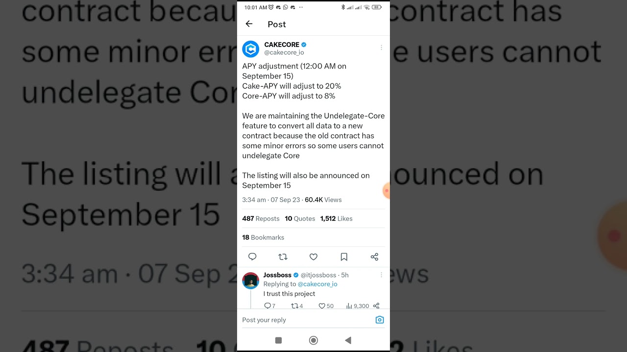 🚨QUICK IMPORTANT VIDEO🚨 CAKECORE UPDATE!