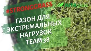 Искусственная трава Team 38 JUTAgrass - популярный газон для футбола, хоккея на траве,гольфа,тенниса