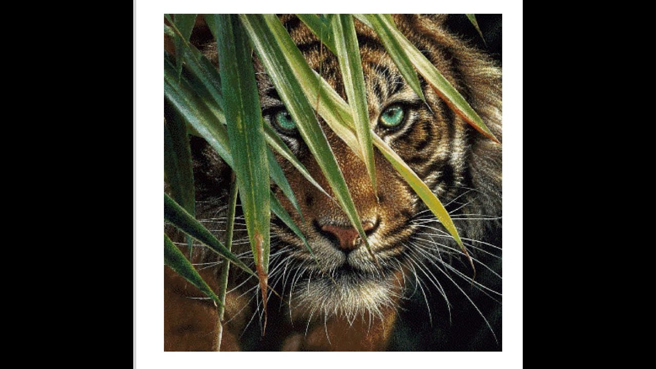 WIP Parade - MidYear