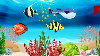 Colourful Fish - Kids Song  Super Simple Songs - Canciones Infantiles para niños  Lagu Anak Anak