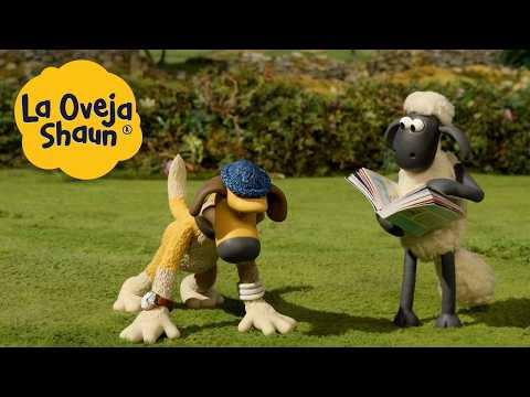 Trabajando en la granja La Oveja Shaun 🐑 🐑 Dibujos animados para niños