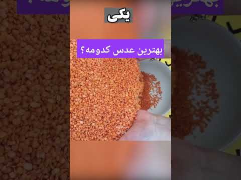 بهترین عدس کدومه