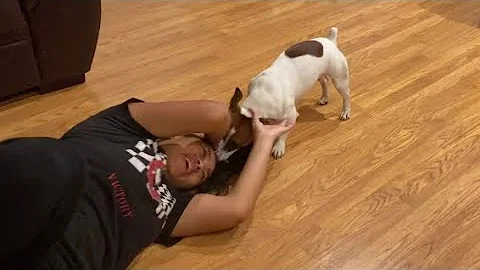 Try not to laugh - Dog Pulls Girl Hair😂🤣