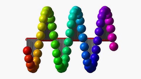 Wave pendulum (60 simple pendulums, bottom view) / copmuter simulation / physics