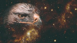 Guardian Eagle || Spirit Animal || Air Element || Shamanic Sound Medicine ||