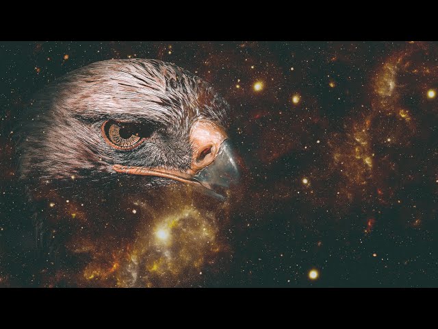 Guardian Eagle || Spirit Animal || Air Element || Shamanic Sound Medicine || class=