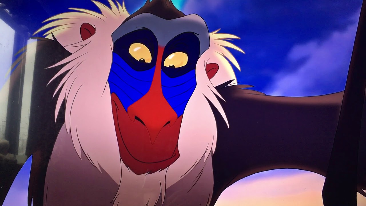 Disney The Lion King 1994 Circle Of Life - YouTube