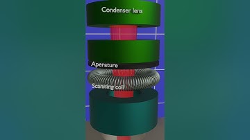 Working principle of scanning electron microscope in 3D animation. #microscope #optics #physics