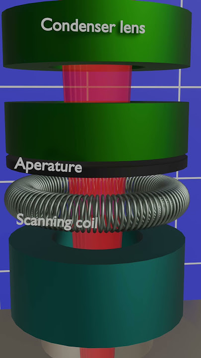 Working principle of scanning electron microscope in 3D animation. #microscope #optics #physics