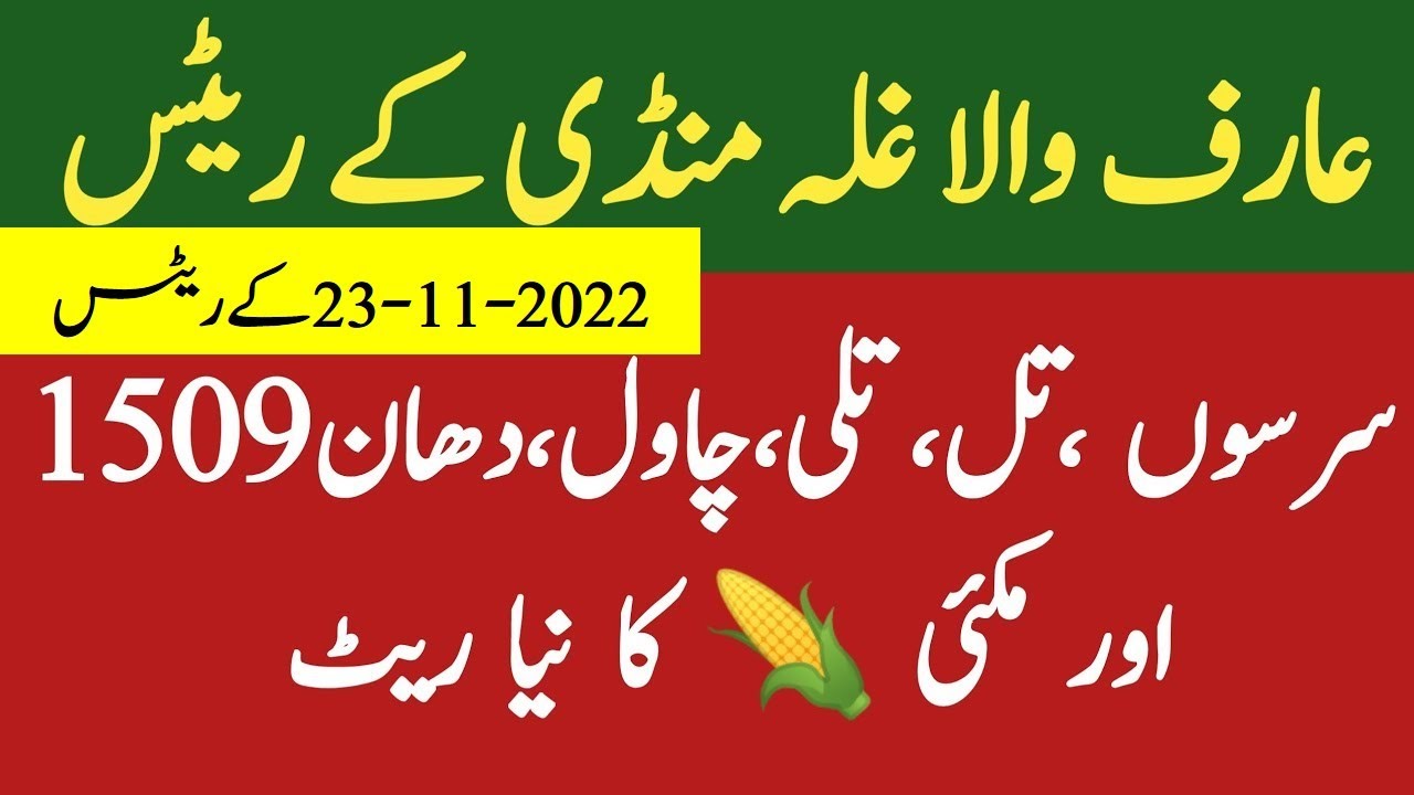 Arif Wala Ghala Mandi K Taza Tareen Rates || 23-11-2022 || Agriculture News Media