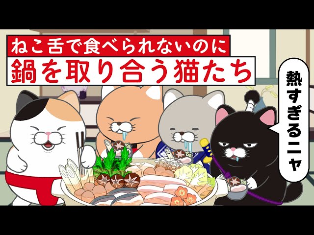 ねこ饅頭です。 sddefault.jpg
