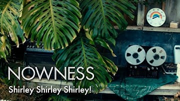 A guide to the wonderful world of plant-generated music