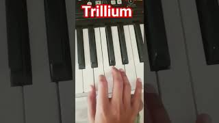 Trillium hardtekk (easy)#shorts #phonk #viral