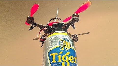 Ultra-Micro BL Drone FPV Test (300m)