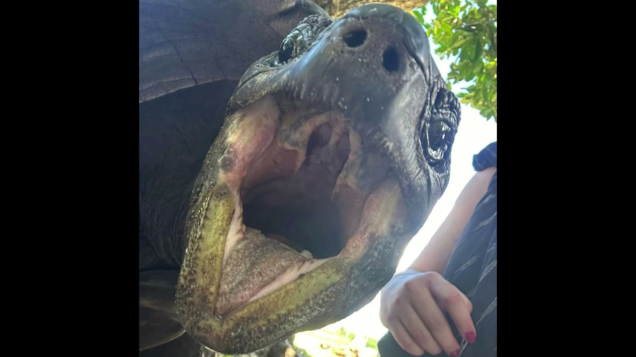 Seychelles in 1 minute