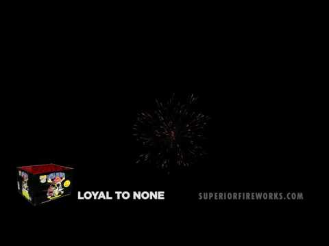 Loyal to None
