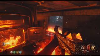 bo1 public lobbies in 2026 are lobotomy