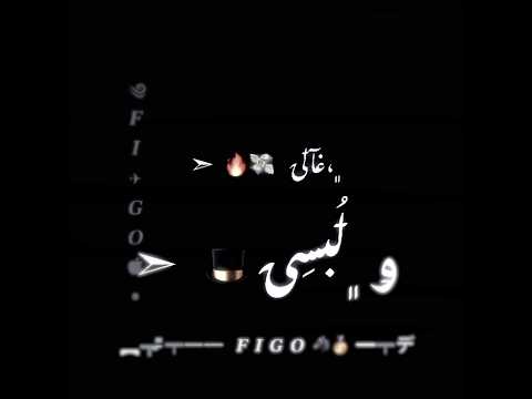 حالات واتس اسلام كابونجا مهرجان شكلي قمور ومحترم عندنا 3 اهرمات ونا يابا 4 هرم  2025