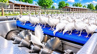Inside a Peacock Farm: How Naturally Shed Peacock Feathers Become a Luxury Couture Gown 🦚✨ | Full  Update