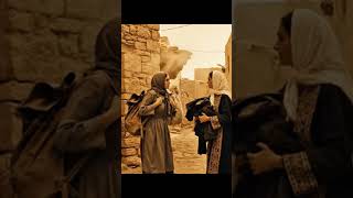 What is the Palestinian issue? #history #shortvideo #middleeastpolitics