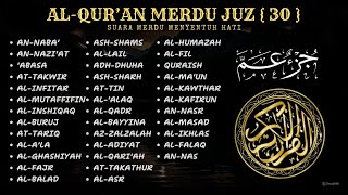 Juz 30 (Juz Amma) جزء عم | Relaxing heart touching soft voice | Best Recitation l By Alaa Aqel screenshot 3
