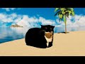 Maxwell Cat Rave, party in the cat tropical island | C4D animation