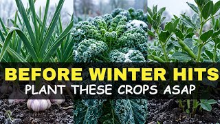 If Winter Gets Harsher, I'd Plant These 12 Crops This Fall