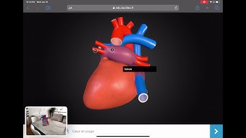 e-Learning Module with 3D and Augmented Reality  | Sketchfab & Tactileo